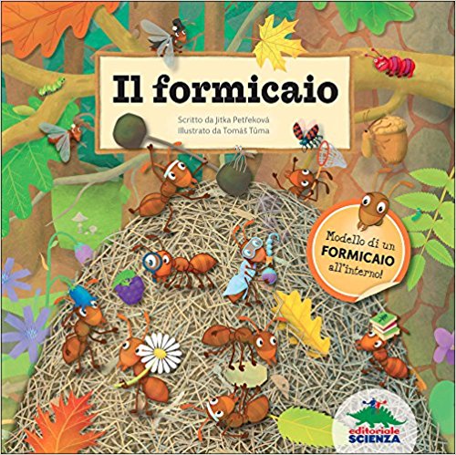 Il formicaio