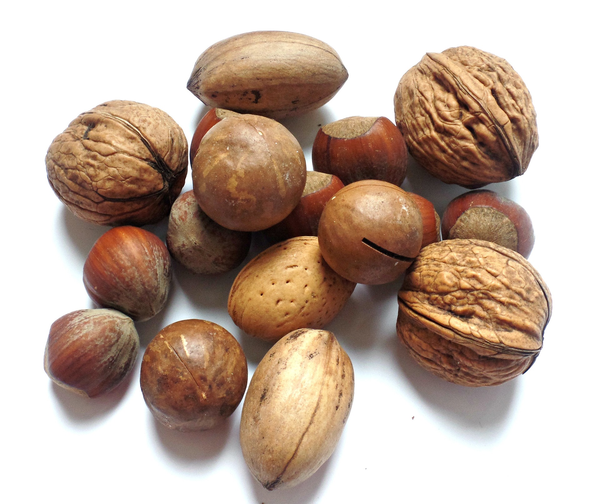 noci-nocciole