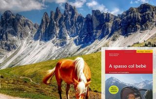 Escursioni con passeggino Alto Adige
