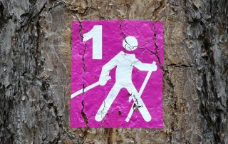 Attrezzatura Nordic Walking