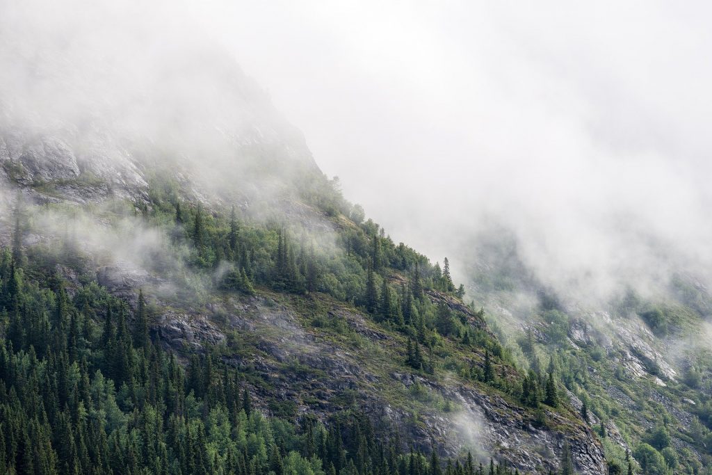 Altimetro Montagna: nebbia