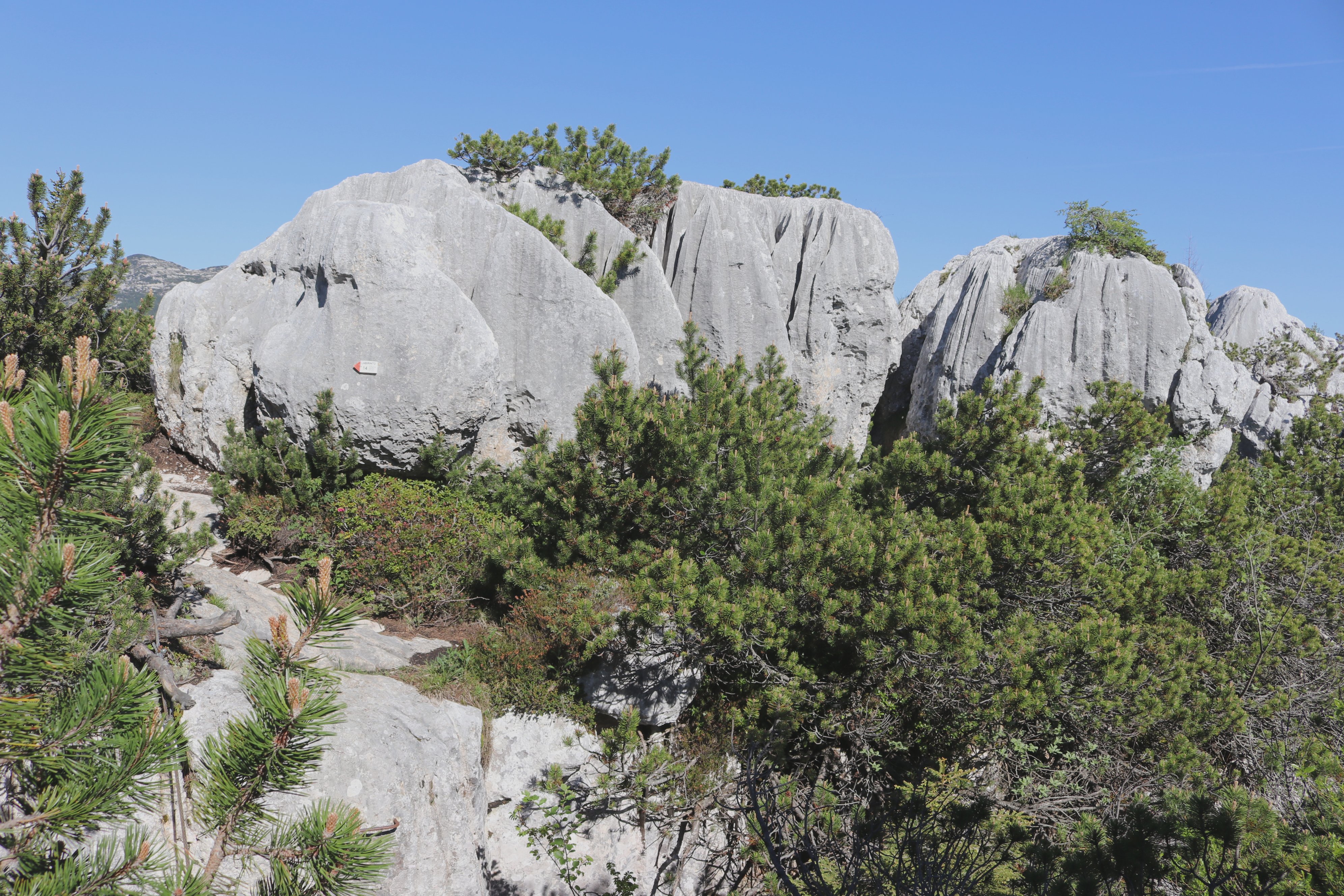 castelloni-san-marco_labirinto Castelloni San Marco: labirinto