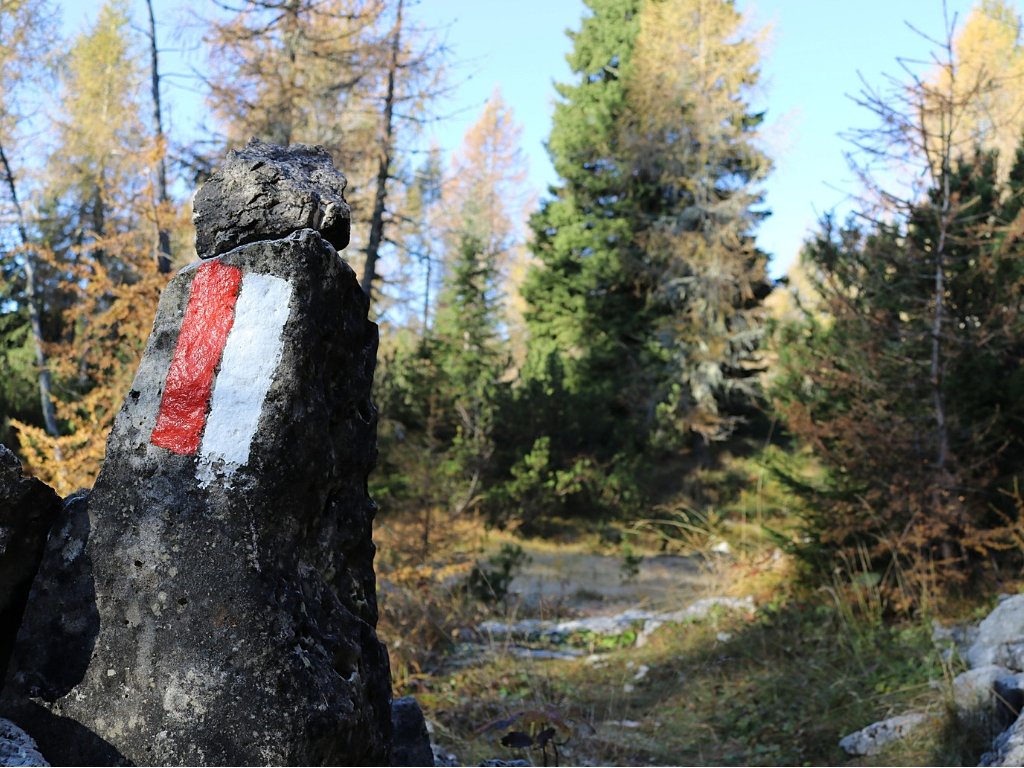 Monte Campigoletti escursione