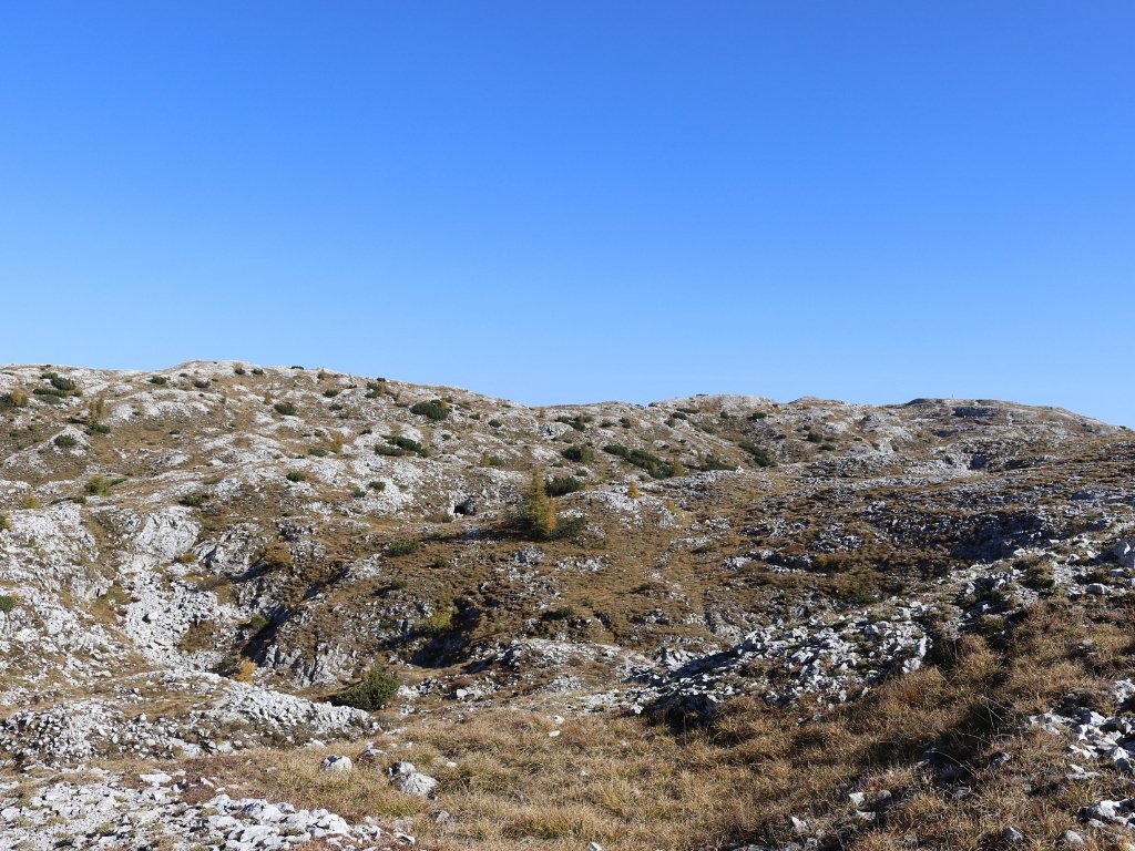 Monte Campigoletti: panorama