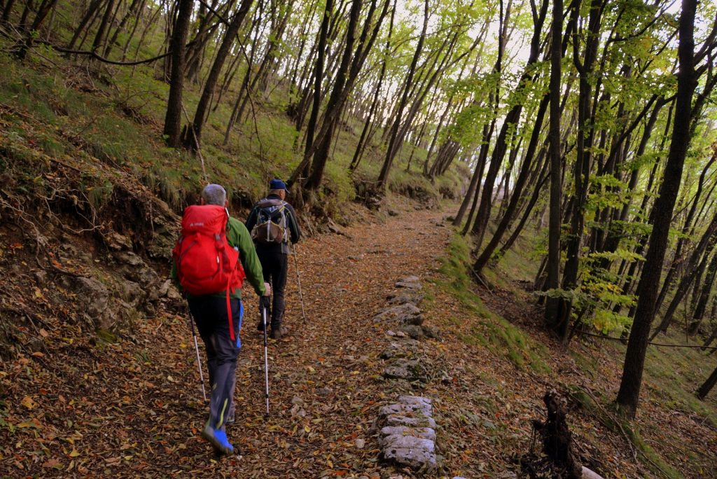 Camminare in Montagna: allenamento