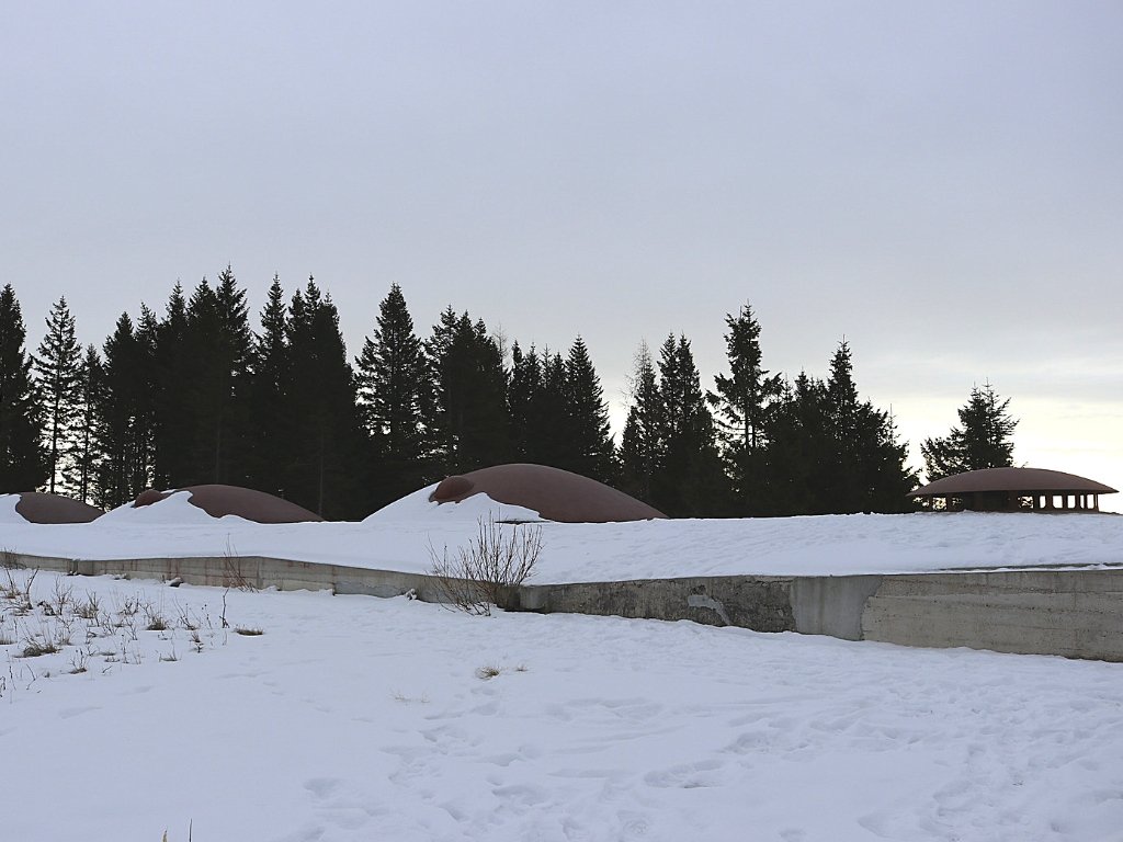 Forte Campolongo: postazione cannoni