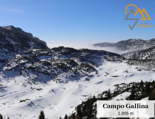 Campo GALLINA