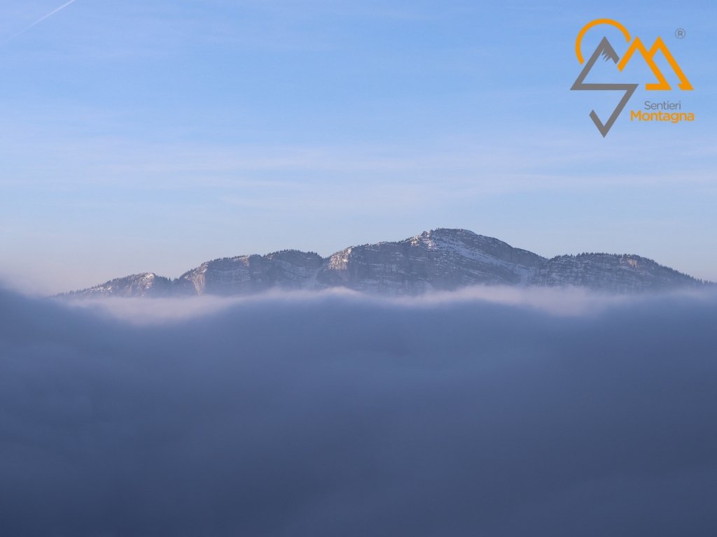 Monte Verena visto da Cima Portule