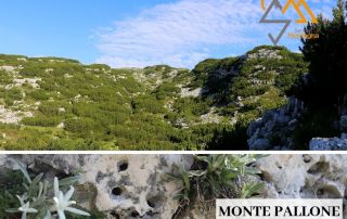 monte pallone