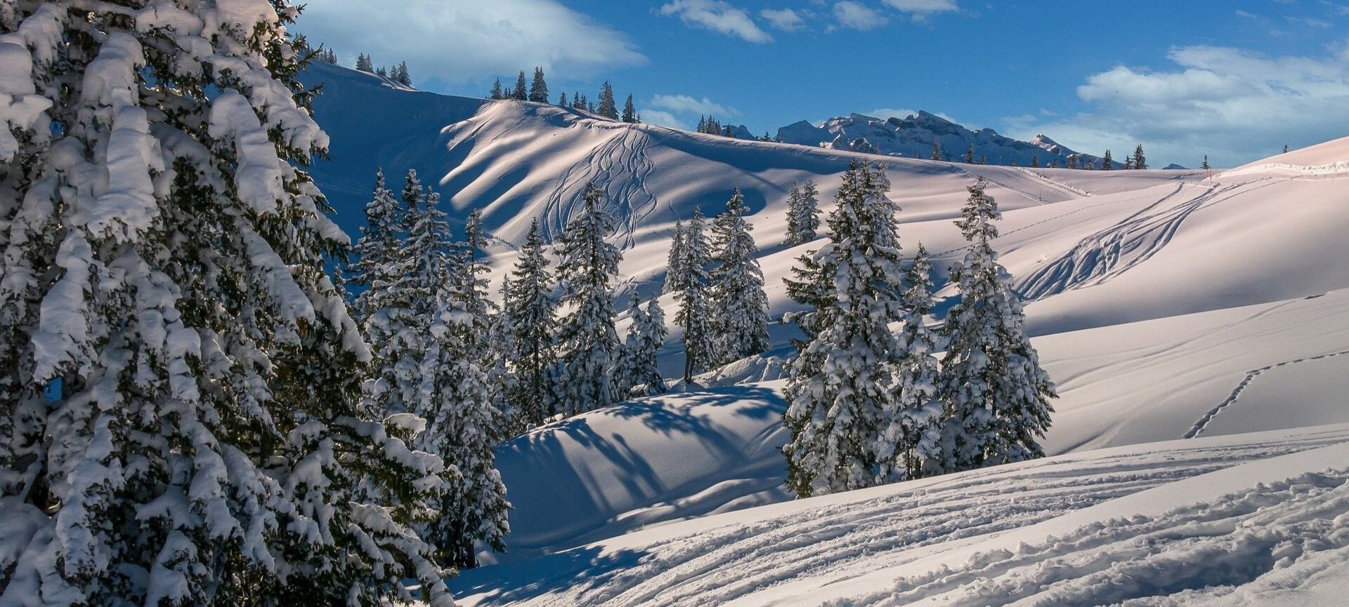 camminare sulla neve