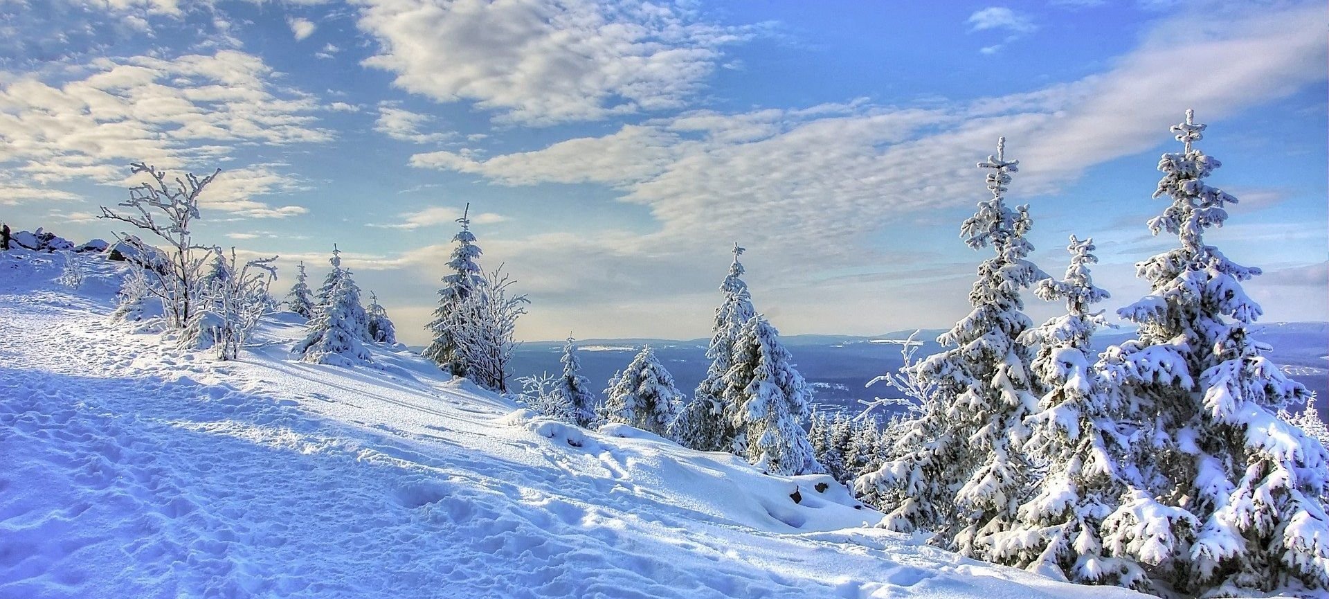 scarponi per camminare sula neve