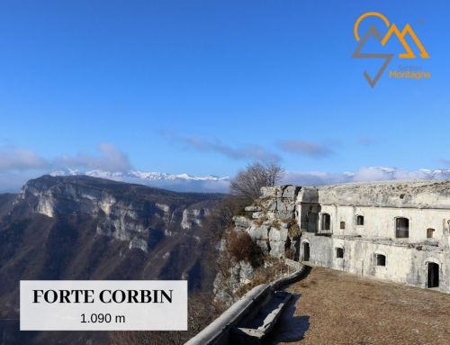 Forte CORBIN