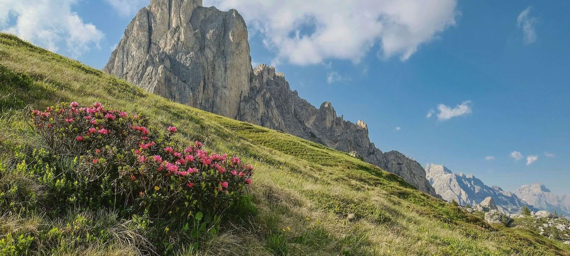 borraccia montagna