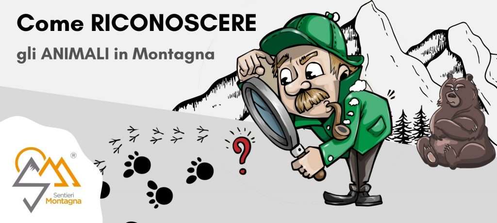 come riconoscere gli animali in montagna