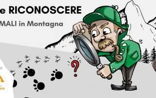 come riconoscere gli animali in montagna