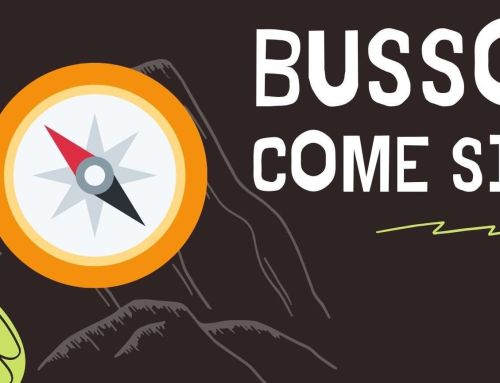 COME si usa la BUSSOLA [Guida 2025]