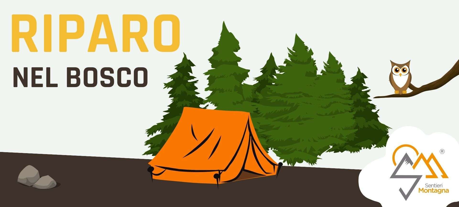 per non Perdersi nel Bosco per non perdersi nel bosco