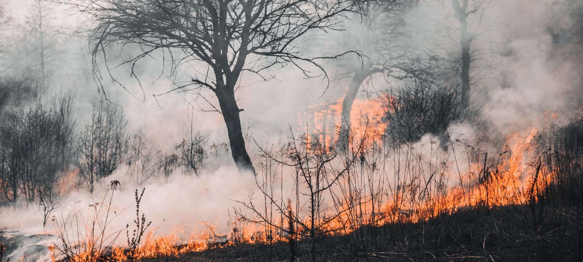 dove si può accendere un fuoco