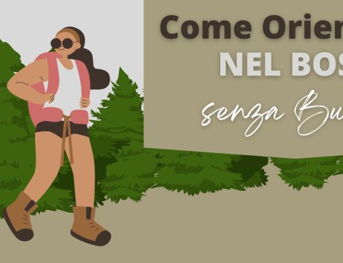 Come orientarsi nel Bosco senza bussola