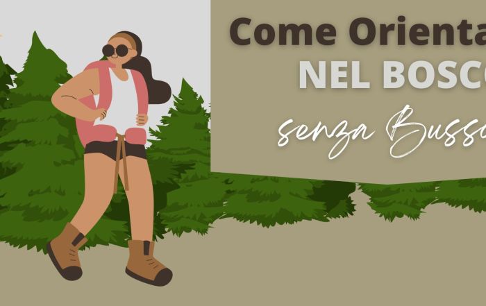 Come Orientarsi nel Bosco senza Bussola