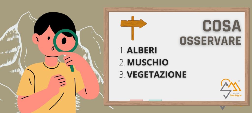 orientarsi nei boschi orientarsi nei boschi