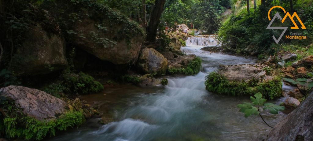 segni naturali per orientarsi segni naturali per orientarsi