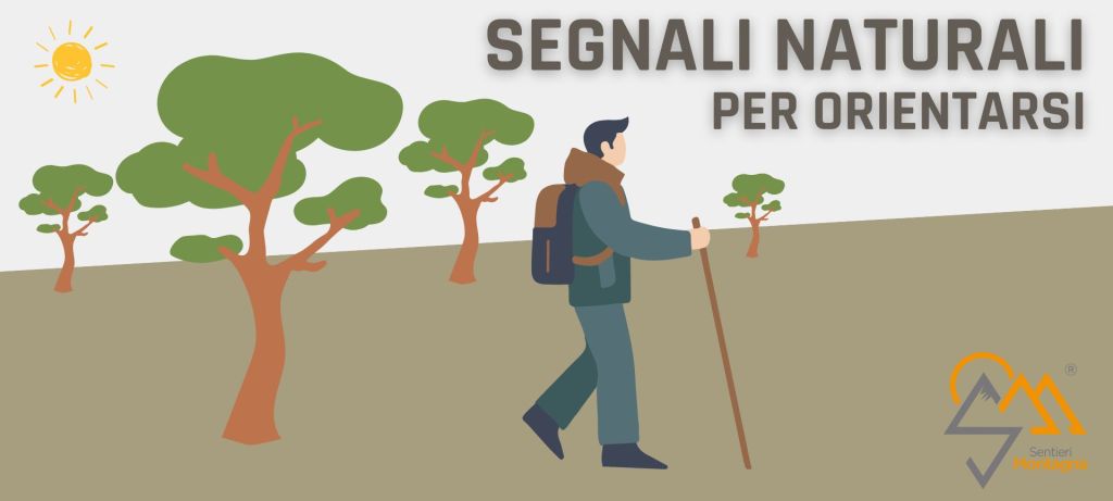 strategie per trovare la strada nel bosco strategie per trovare la strada nel bosco